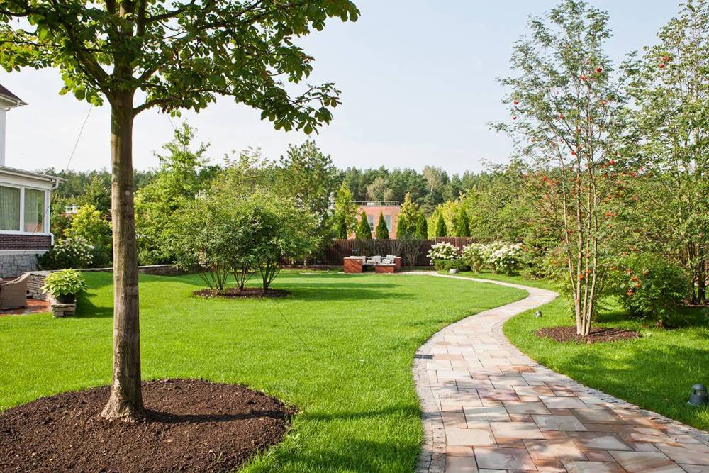 paysagiste-petit-aménagement-jardin paysagiste-petit-aménagement-jardin